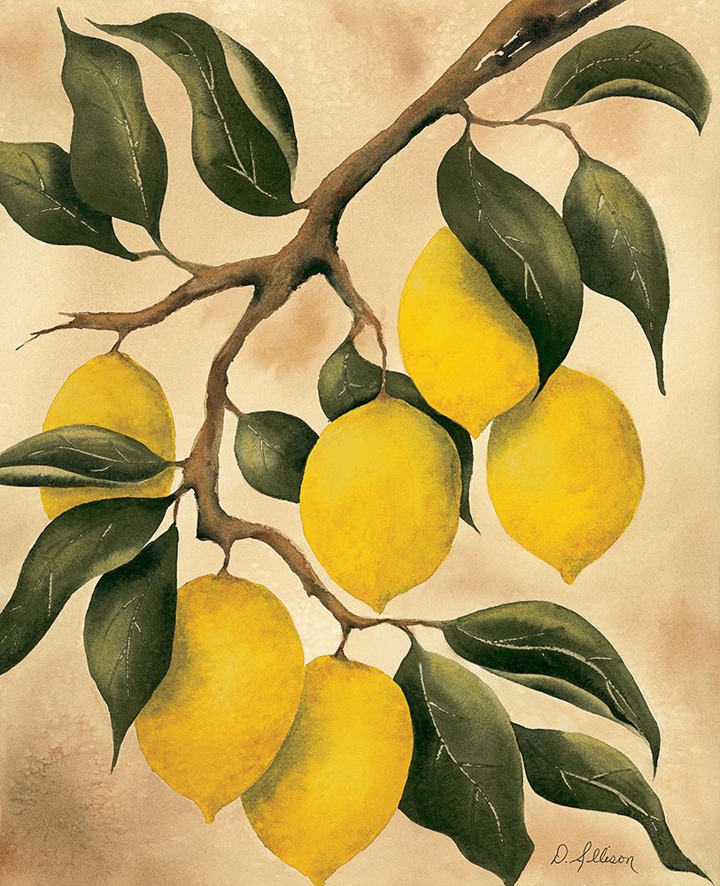 Italian Harvest â Lemons
