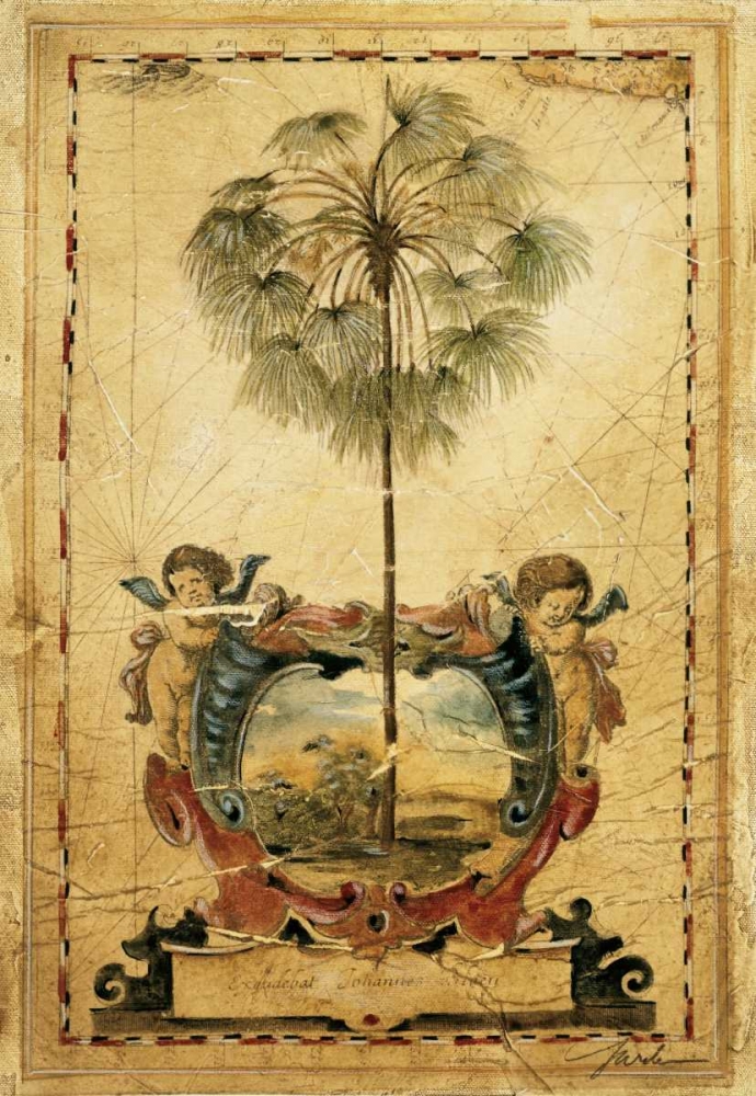 Paradise Palm