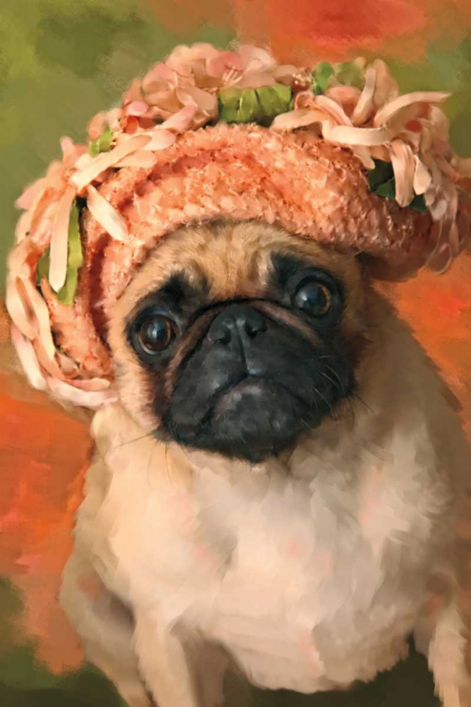 Ms. Pug