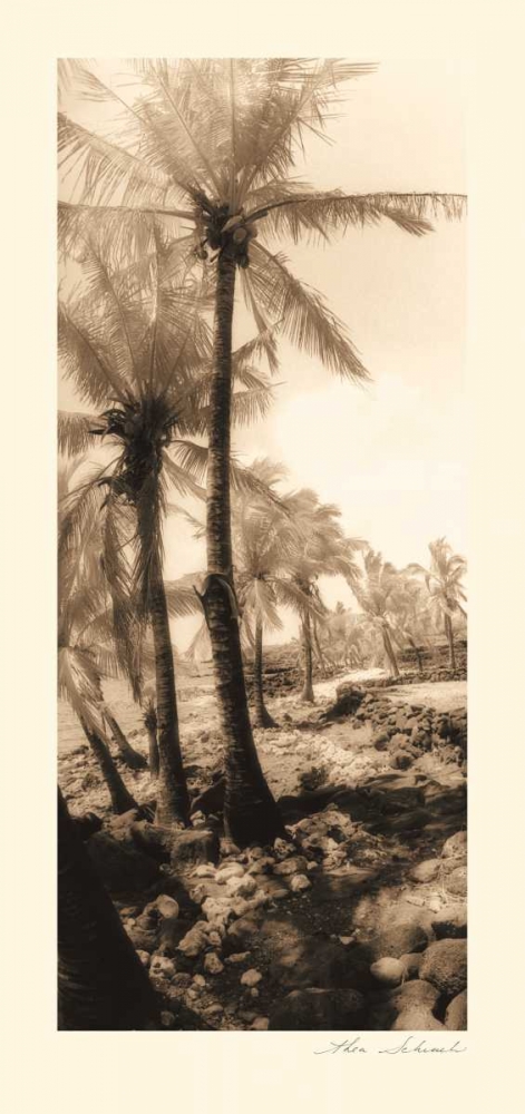 Equatorial Breeze I