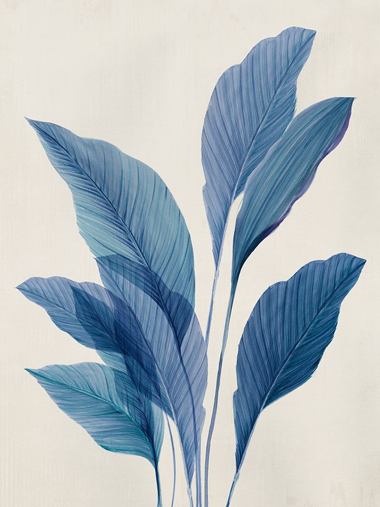 Blue Palm Leaves II