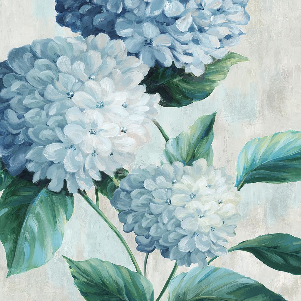 Blue Hydrangea Blooms I