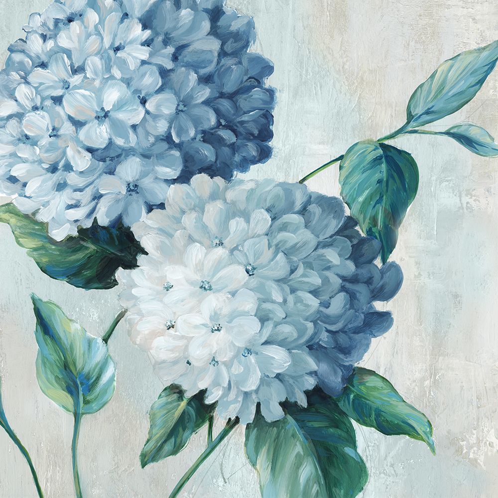 Blue Hydrangea Blooms II
