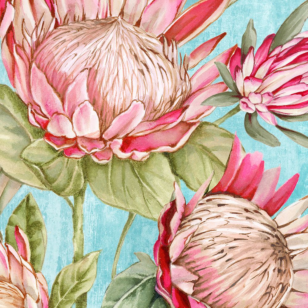 Popping King Protea I