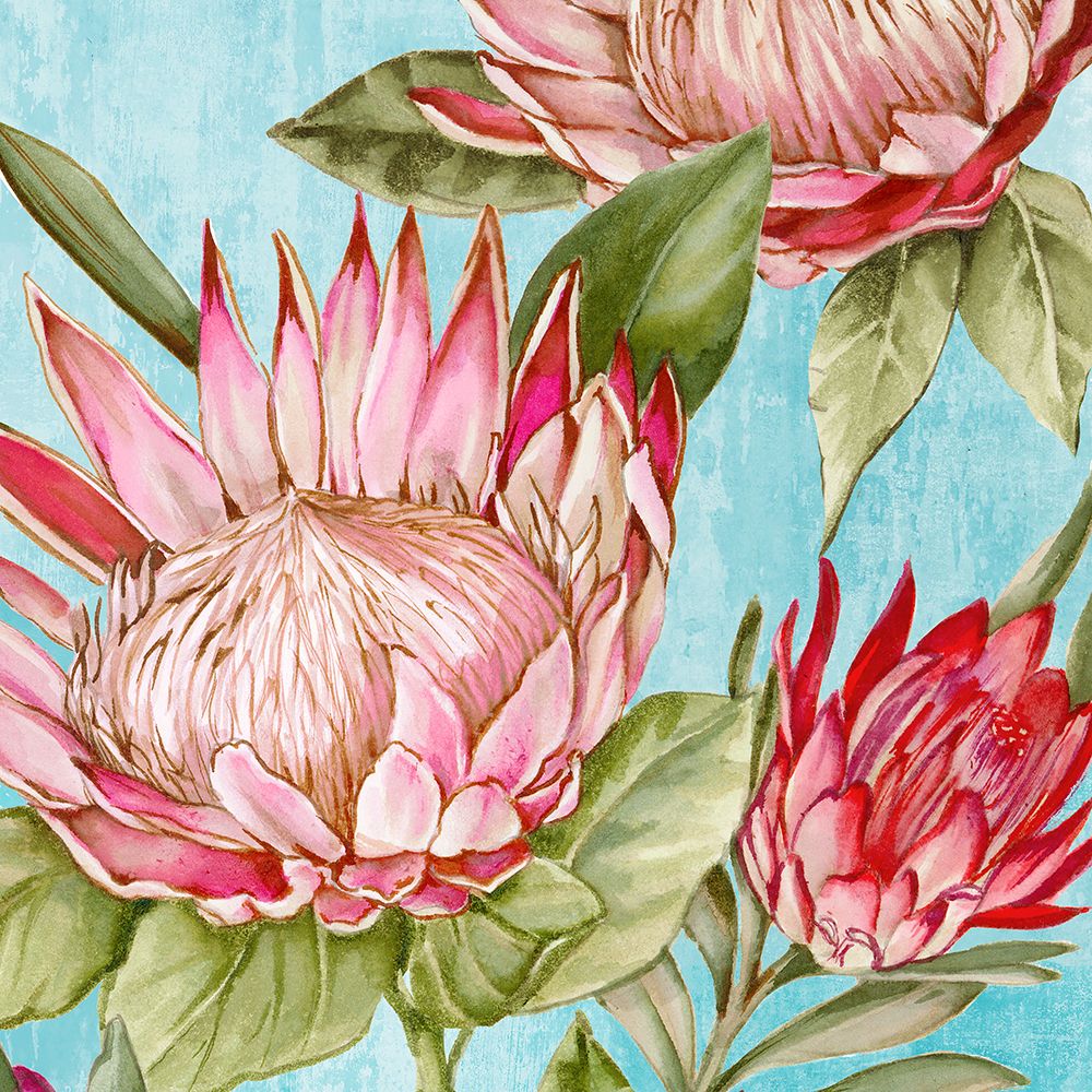 Popping King Protea II