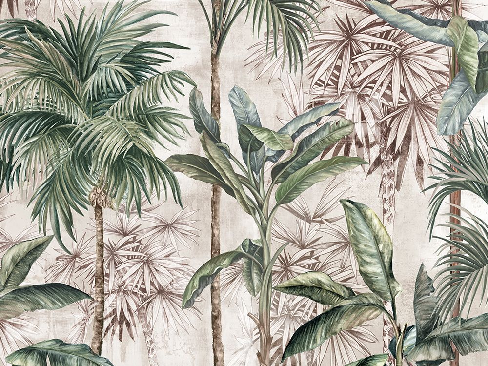 Canopy of Tropics