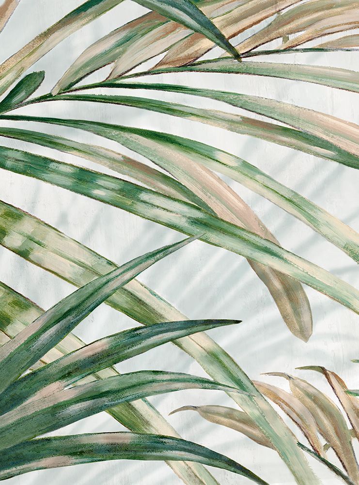 Frond Impressions I