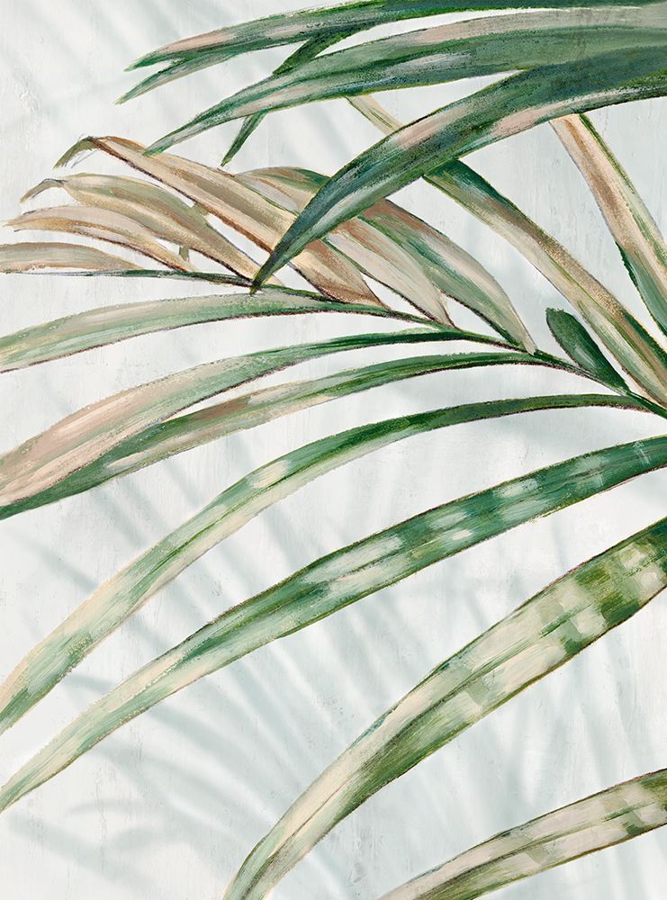 Frond Impressions II