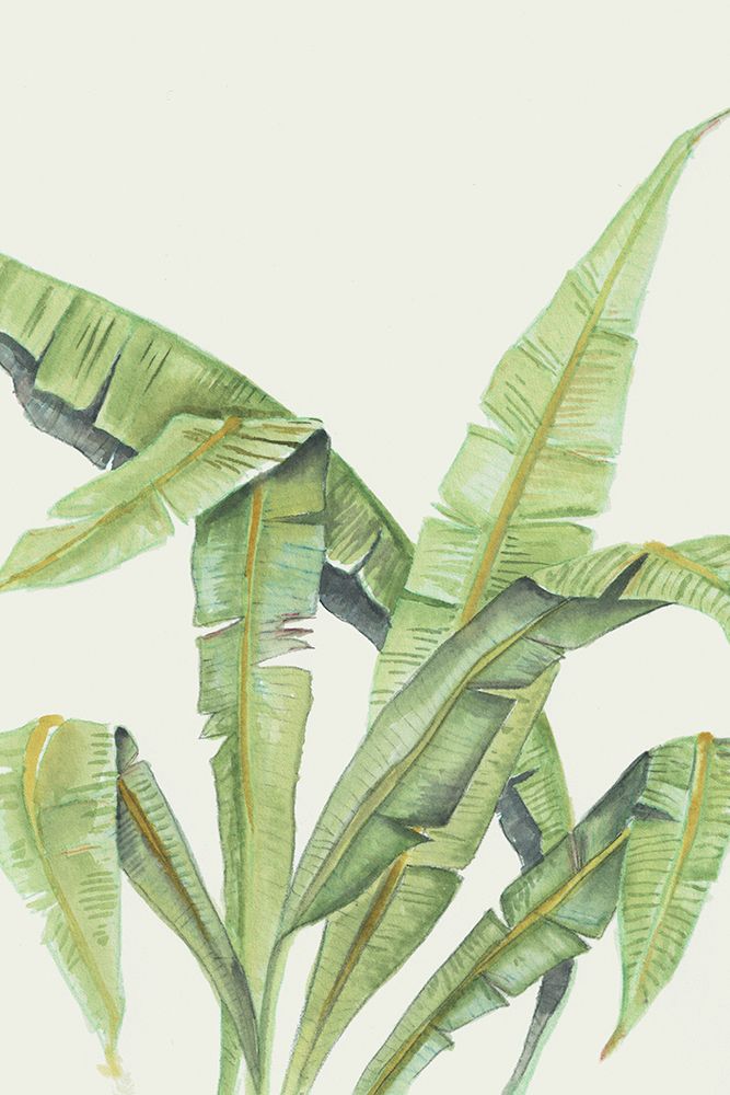 Anse Lazio by Elvia Errico