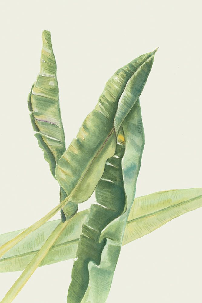 Foglie di banano by Elvira Errico