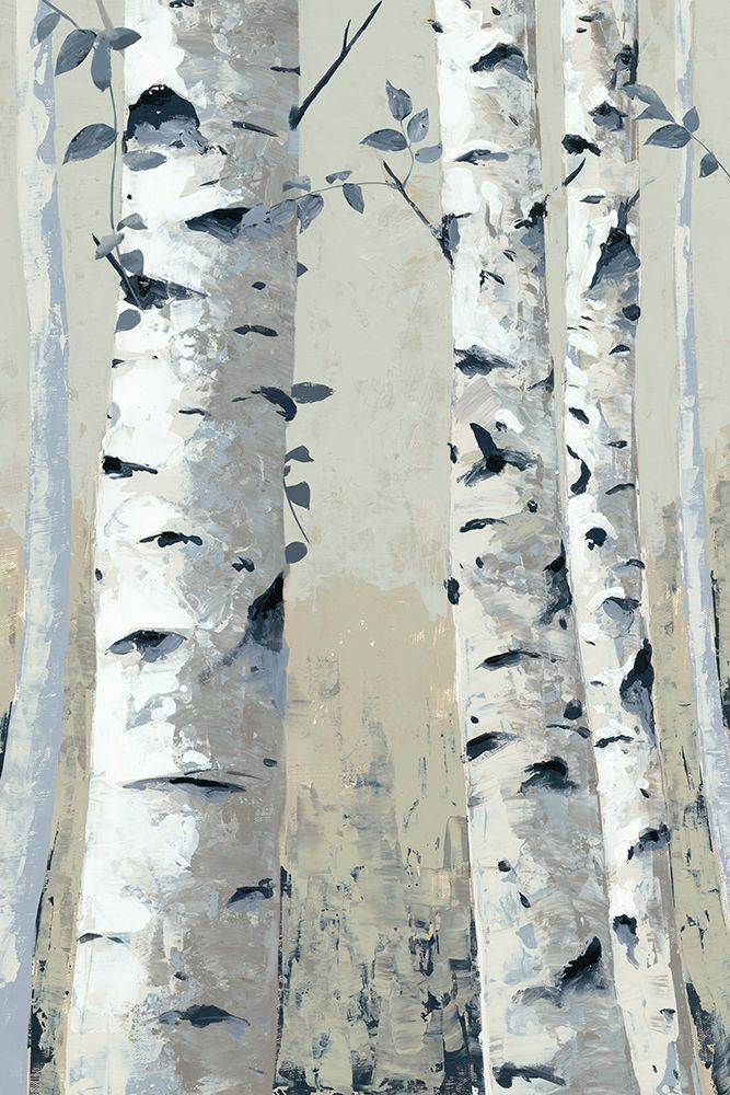 Aspen Birch