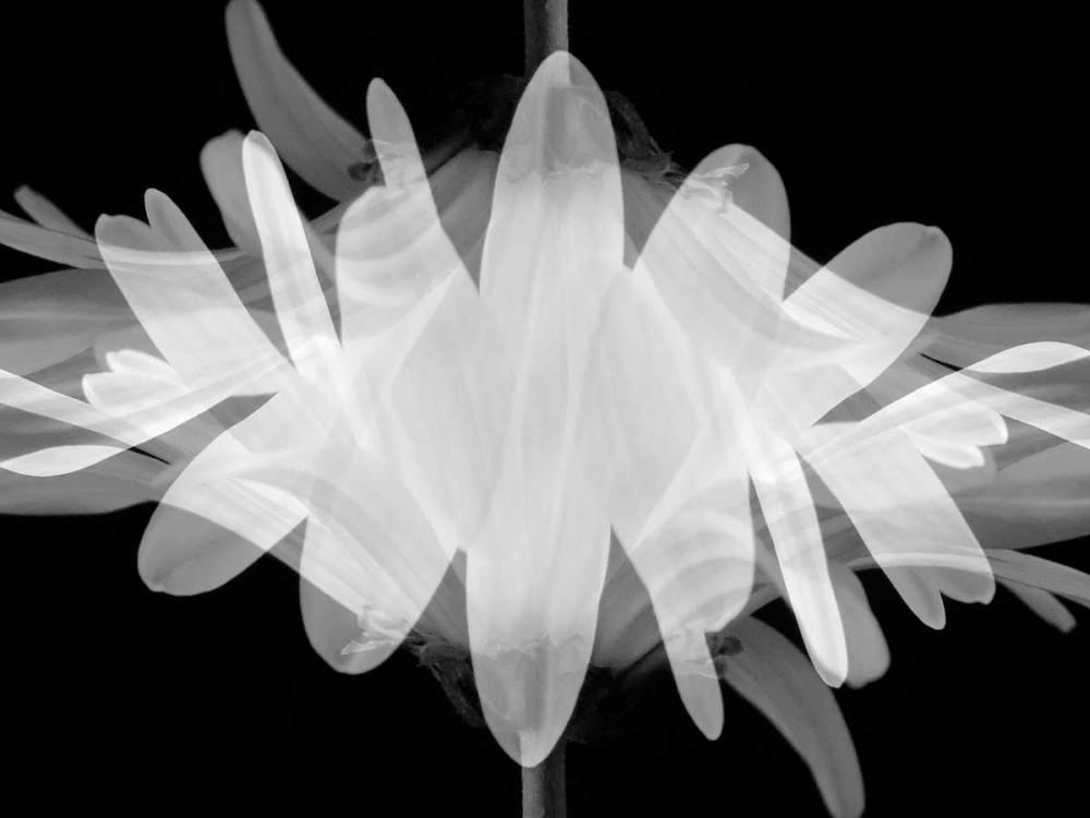 Superimposition