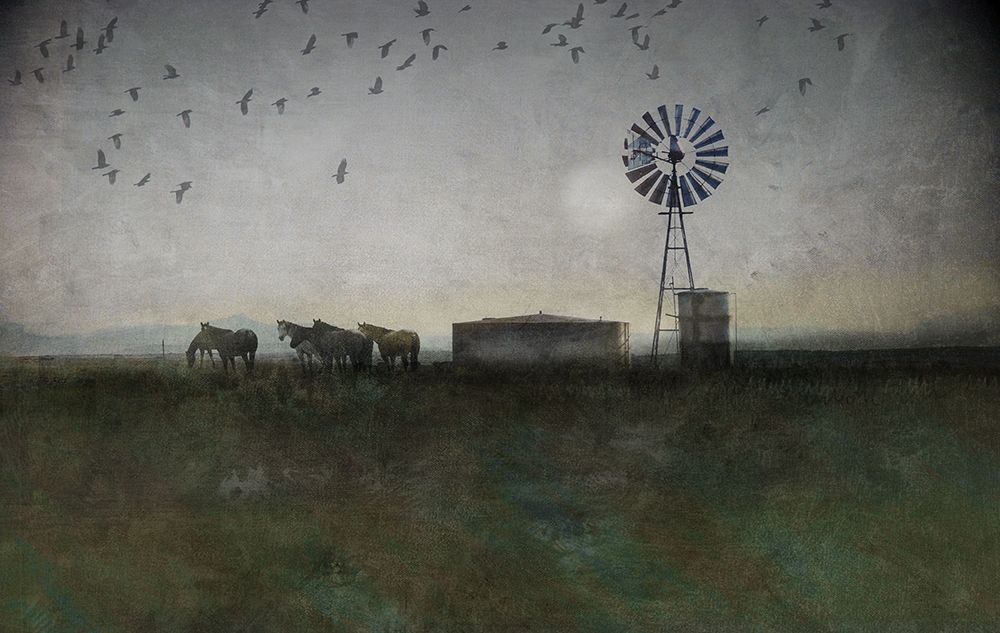 Horse and Crows