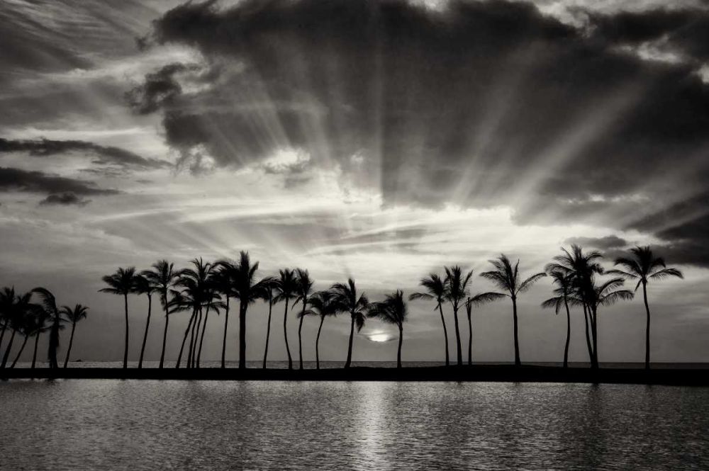 Summer Breezes II