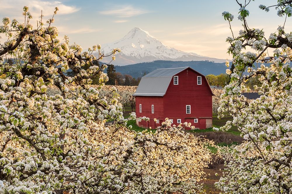 Fairytale Barn