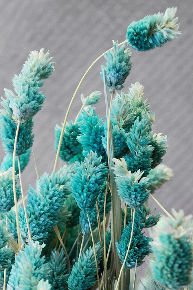 Autumnal Teal I