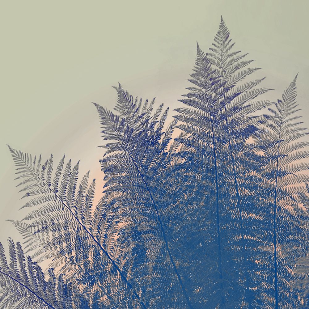 Orange Sky
