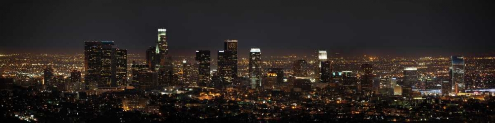LA Night Panorama