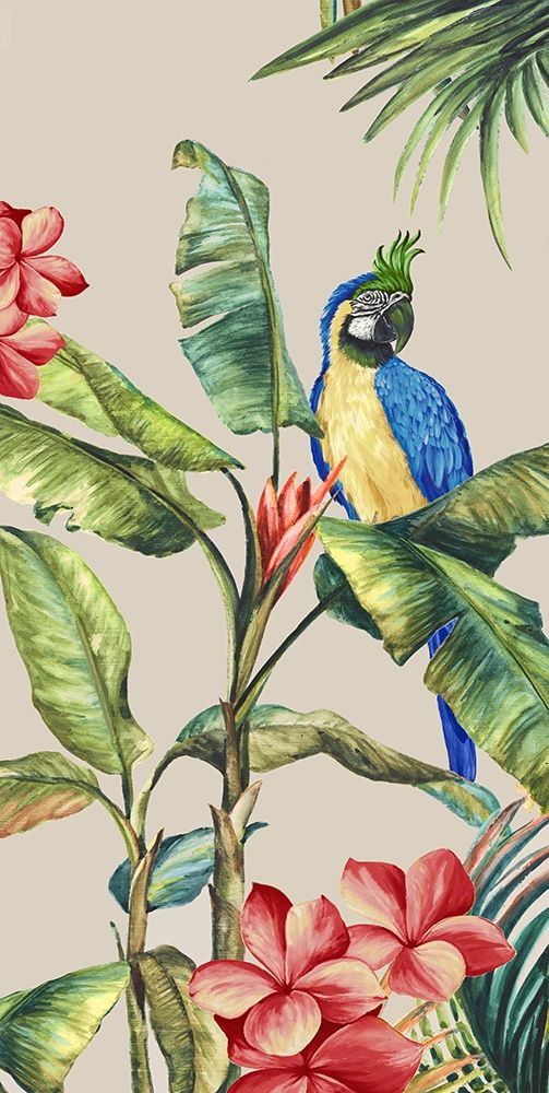 Tropicano II