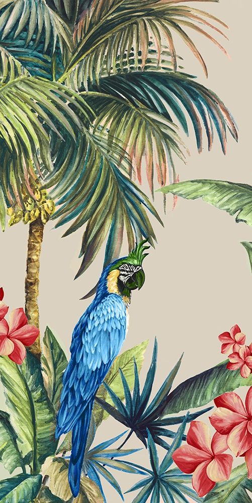Tropicano II