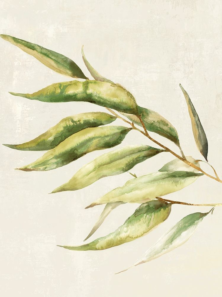 Willow Branch II