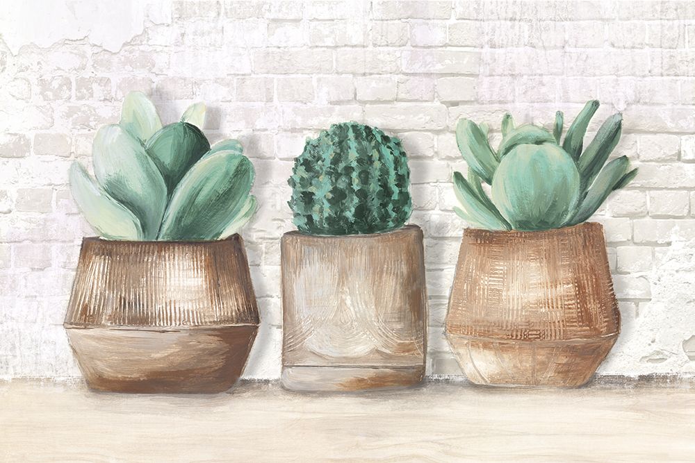 Three Cactus