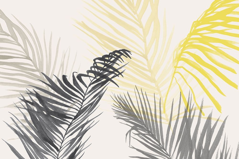 Summer Swaying Palms