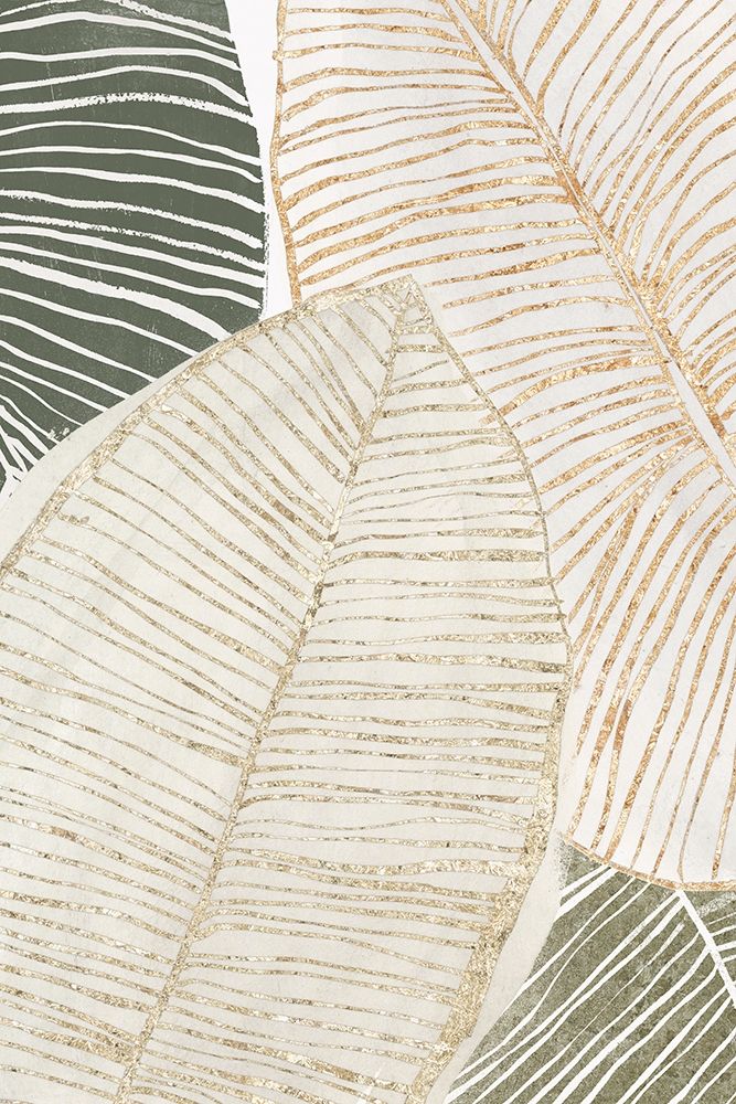 Tropic Breeze II