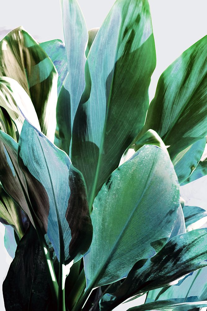 Green Leaves II