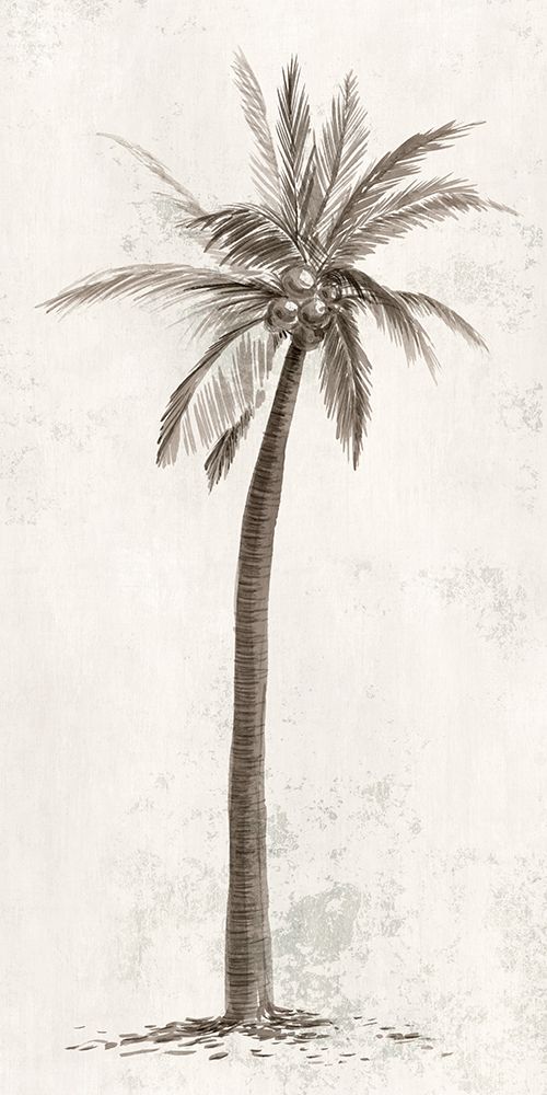 Vintage Palm Tree II