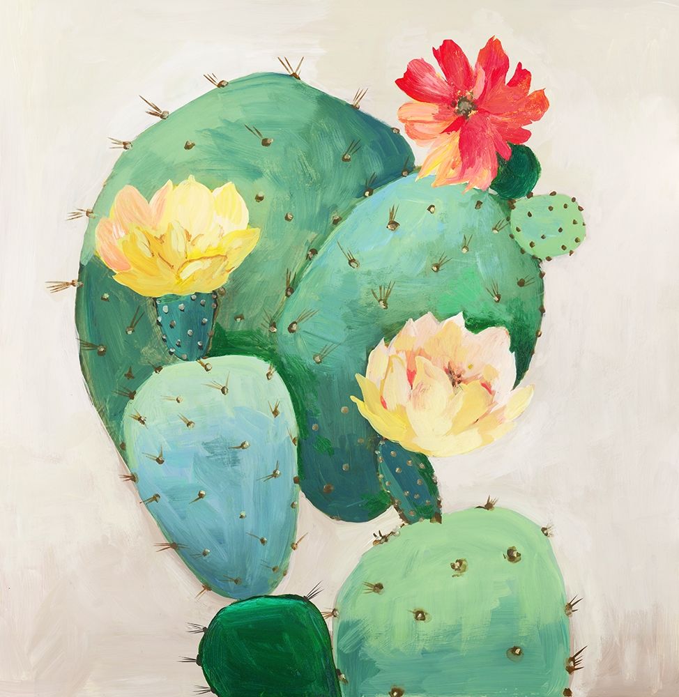 Colorful Catus