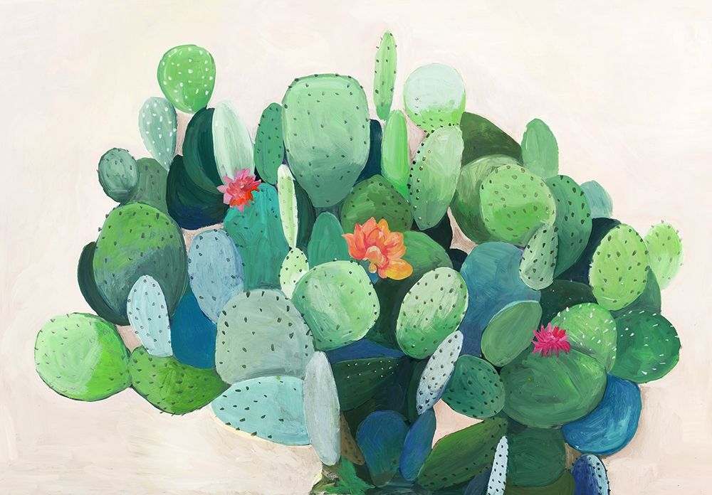 Cactus Bloom