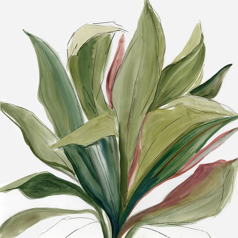 Green House Plant I
