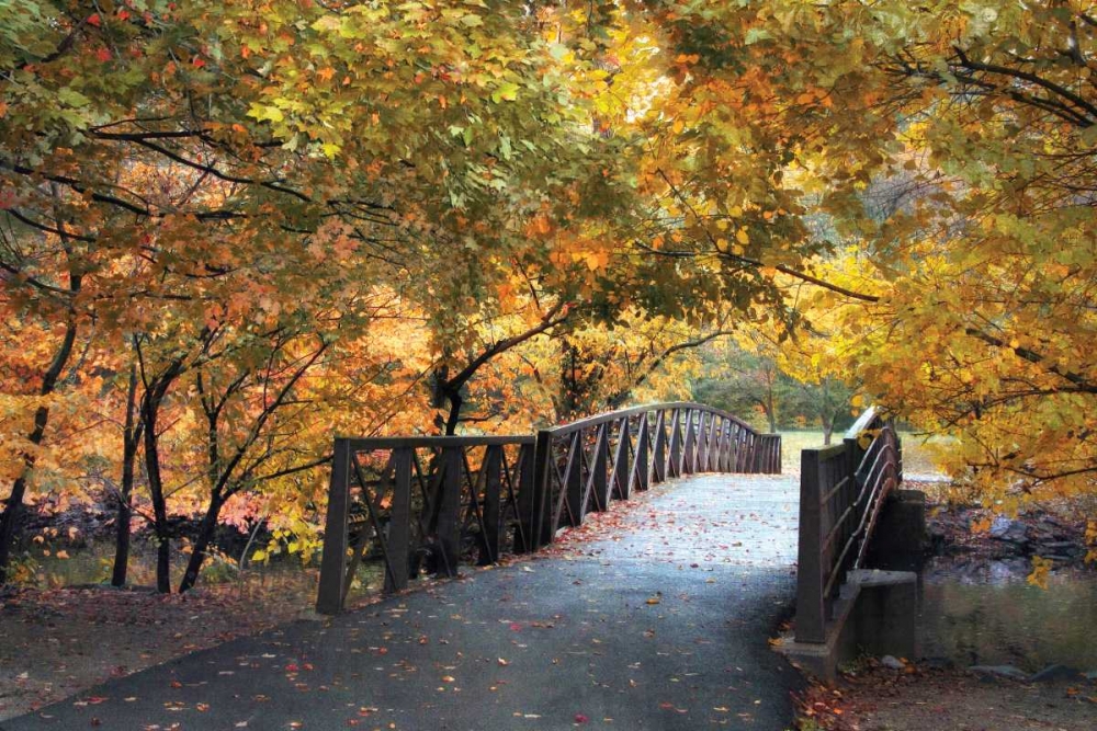 Autumn Overpass