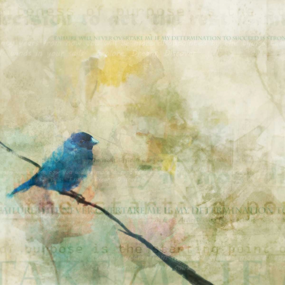 Nesting Bird I