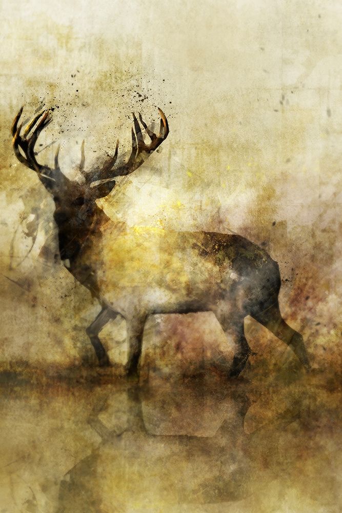 Calm Deer II