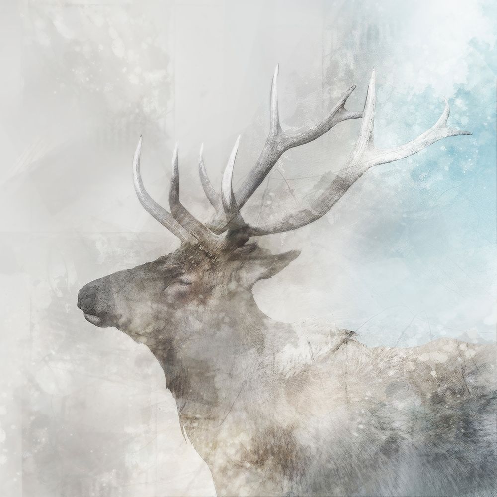 Stag Gaze I