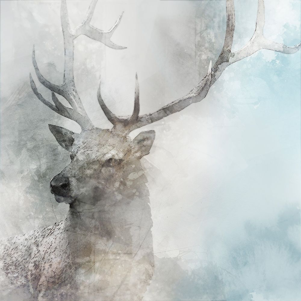 Stag Gaze II