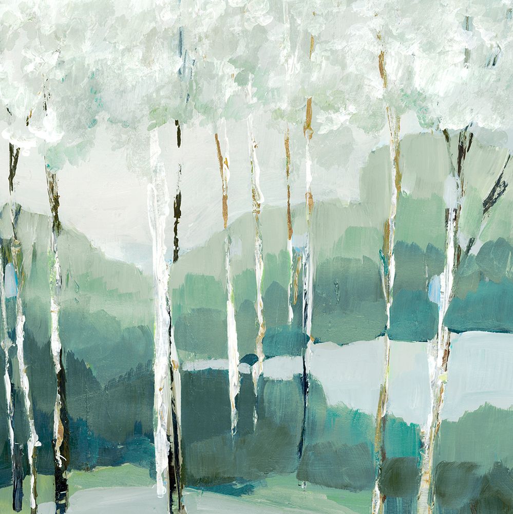 Quiet Birch Forest II