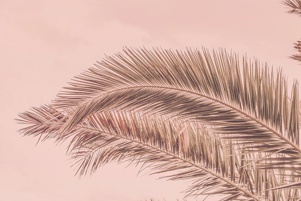 Portugal Travel Impression Blush Palm