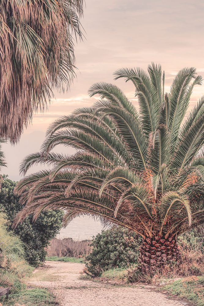 Portugal Travel Impression Pastel Sundown