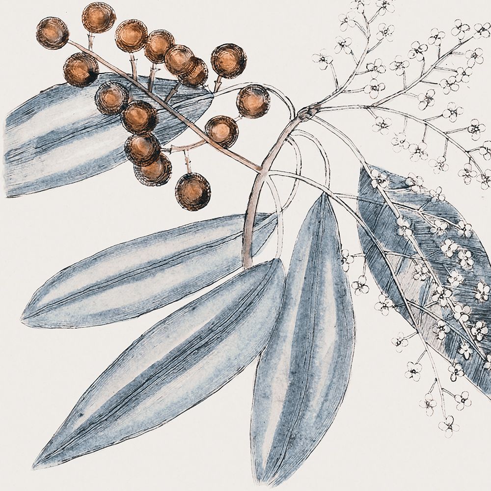 Vintage Blue Botanical IV