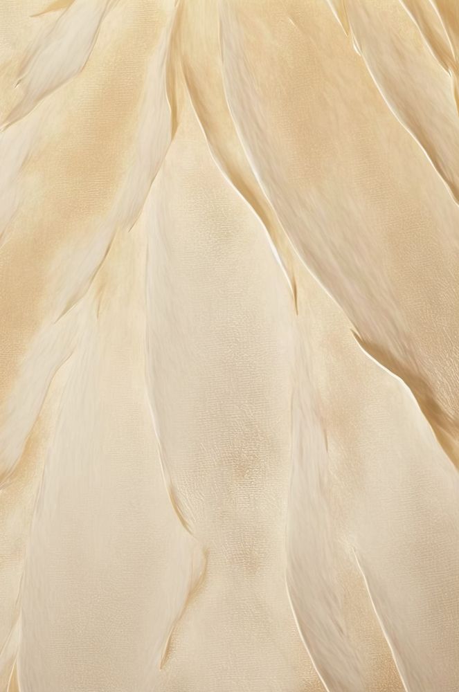 Whispers from the Soil II