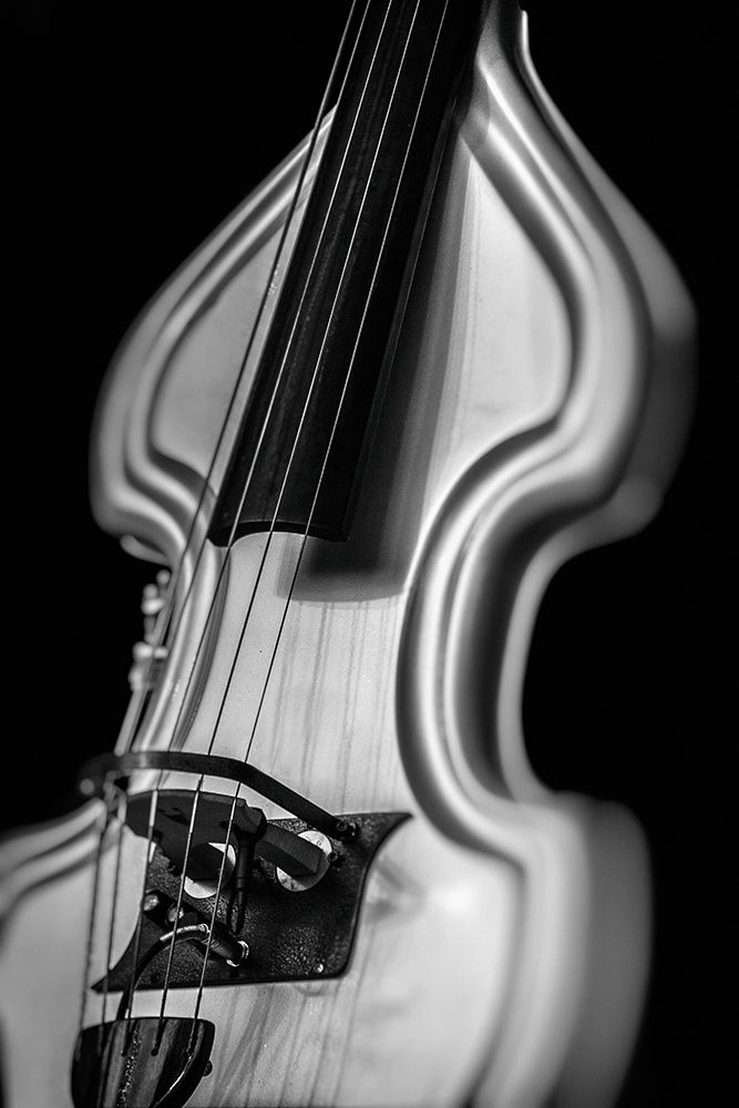 Silver Guitar