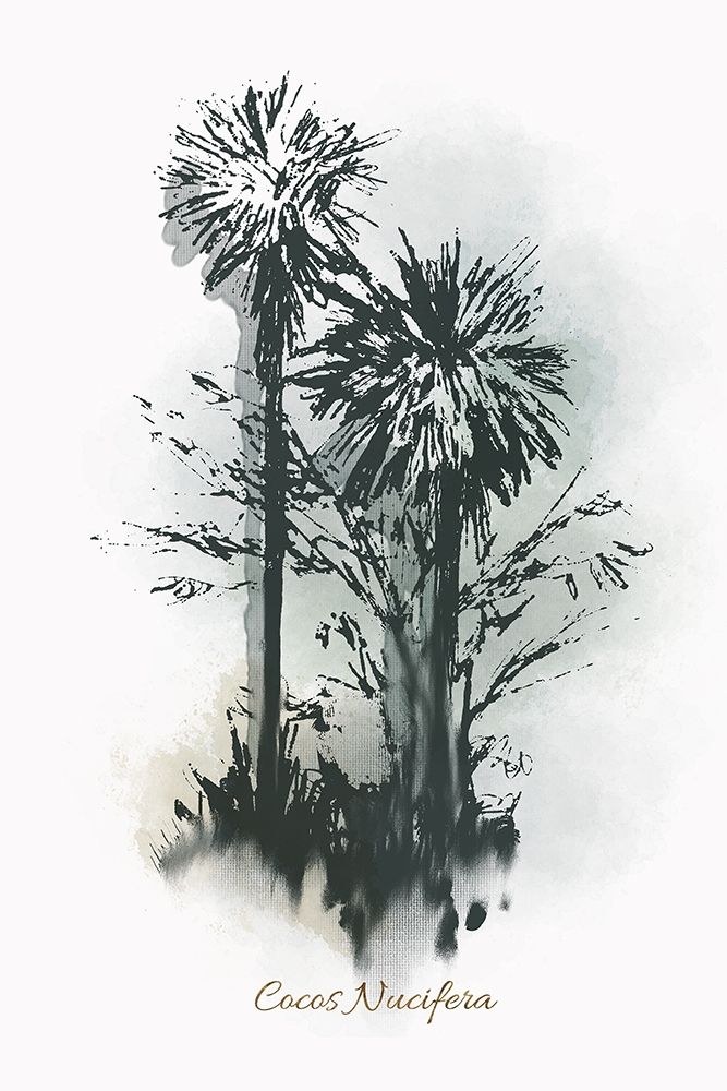 Everglades IV