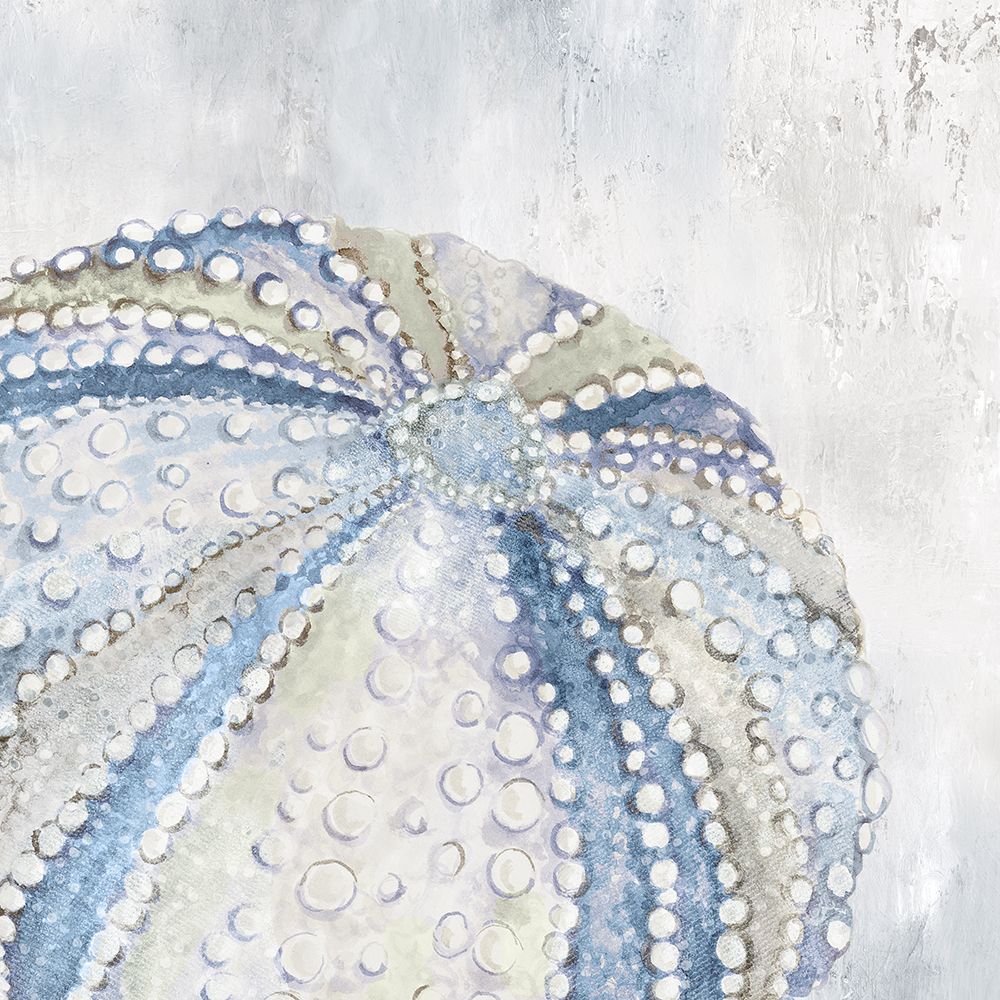 Soft Blue Sea Urchin