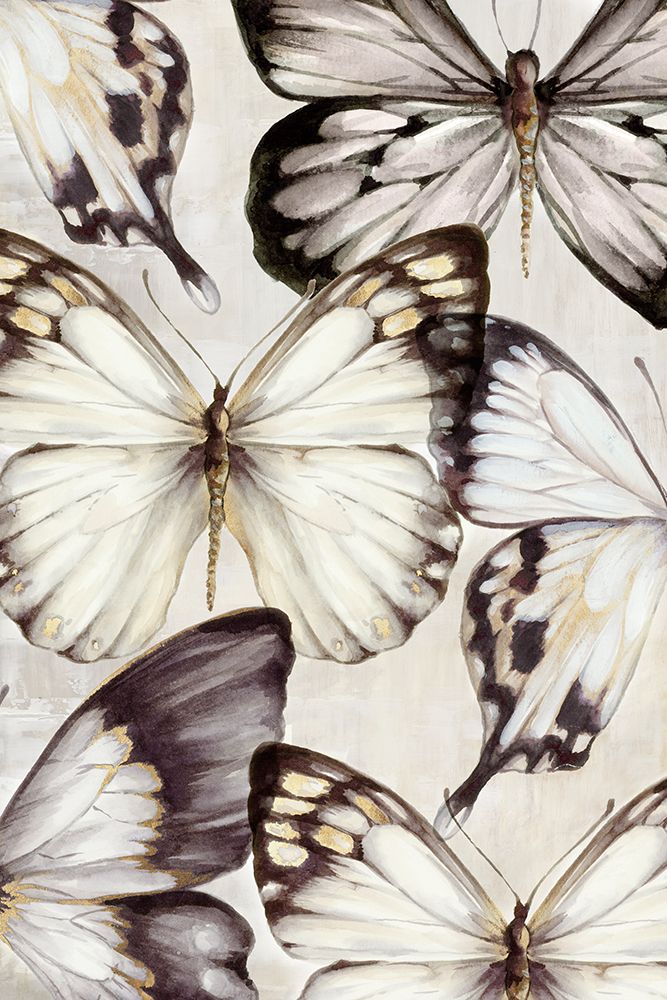 Cluster of Butterflies