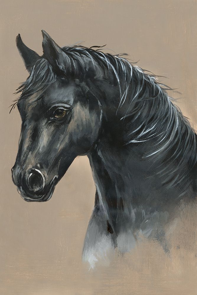 Majestic Stallion II