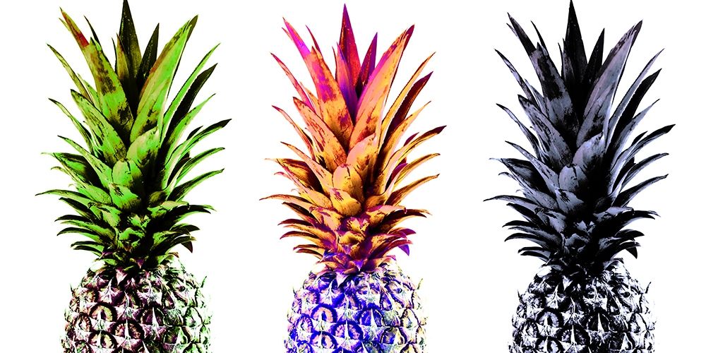 Colourful Pinapples II