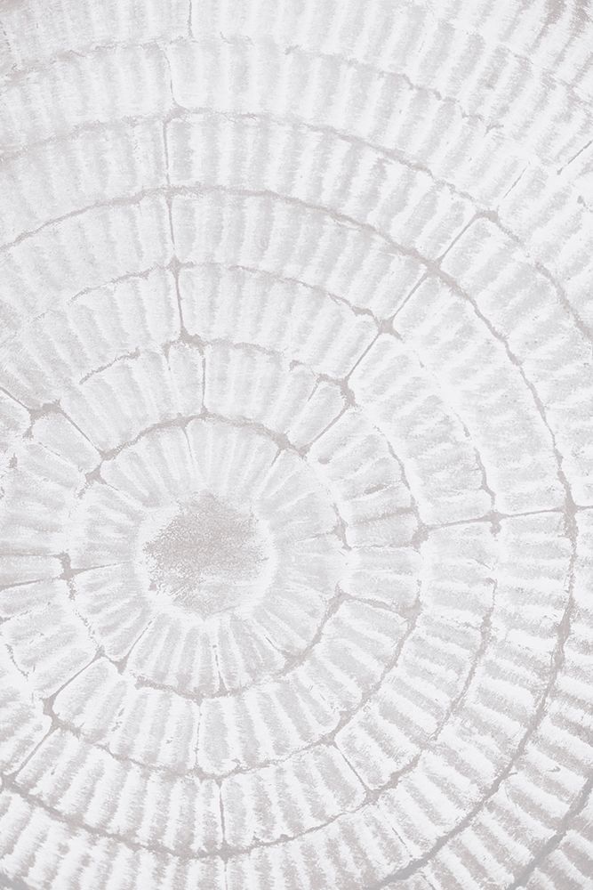 Studio III - Pattern Plate II